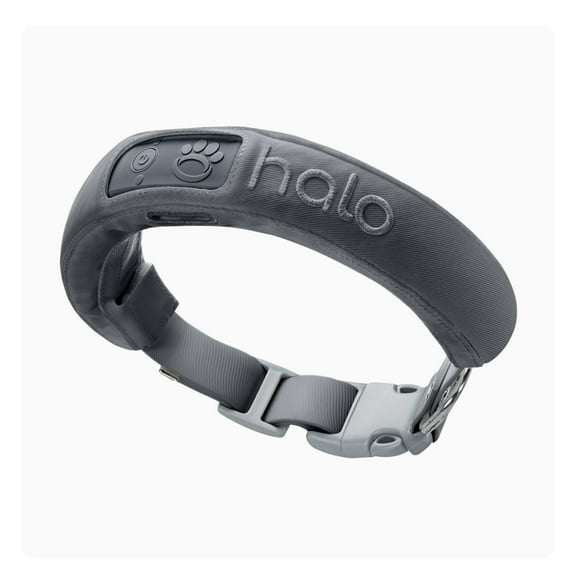 Halo Collar 3 - Wireless GPS Dog Fence & Training Collar with Real-Time Tracking, Graphite, Small
