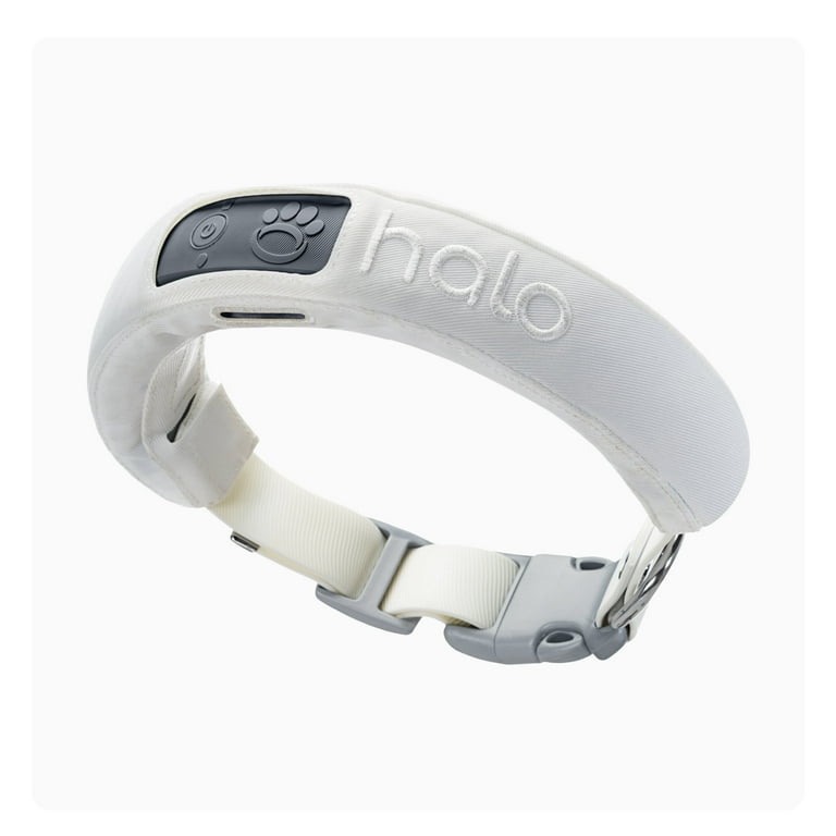 Halo dog collar 2025