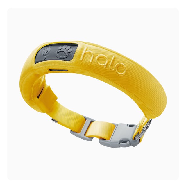 Halo Collar 3 (Medium/Large, Sunburst) GPS Dog Fence Multifunction Wireless Dog Fence