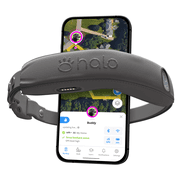 Halo Collar 4, All New GPS Wireless Dog Fence with Real-Time Tracking (Graphite)
