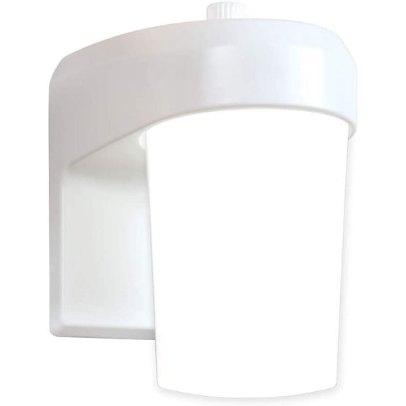 Halo FE0650LPCW Outdoor LED Dusk to Dawn Entry Light, 5000K, White, 1.3 lbs