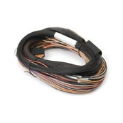 Haltech HT-049902 8 ft. IO 12 Expander Box Flying Lead Harness - A & B Box