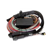 Haltech Elite 2500/2500 T Premium Universal Wire-In Harness - 2.5m 8ft
