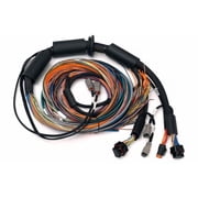 Haltech NEXUS R3 Universal Wire-In Harness - 2.5M 8ft