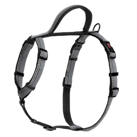 Halti Walking Two Tone Dog Harness