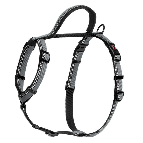Halti Walking Two Tone Dog Harness