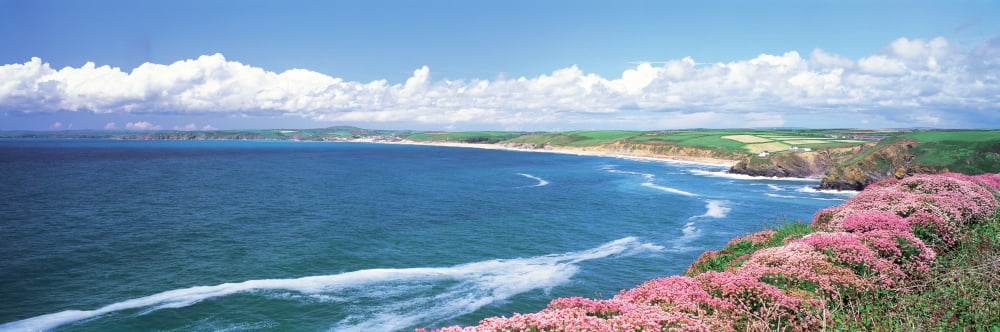 Halzephoron Cliff Cornwall England Canvas Art - Panoramic Images (27 x 9)