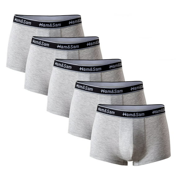 Ham&Sam Men's Boxer Brief 5 Pack Bamboo Rayon Soft Comfortable Underwear Trunks for Men
