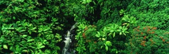 Hamakua Coast Hawaii Hawaii USA Canvas Art - Panoramic Images (36 x 12)