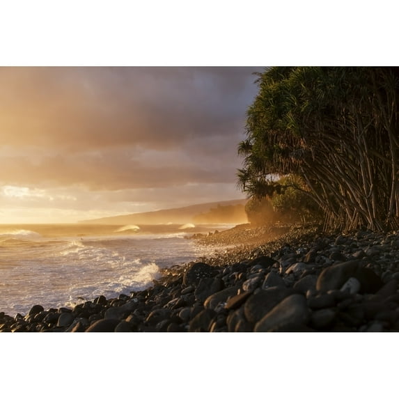 Hamakua coastline at sunrise Lapahoehoe Nui Valley; Island of Hawaii Hawaii United States of America by Peter French / Design Pics (19 x