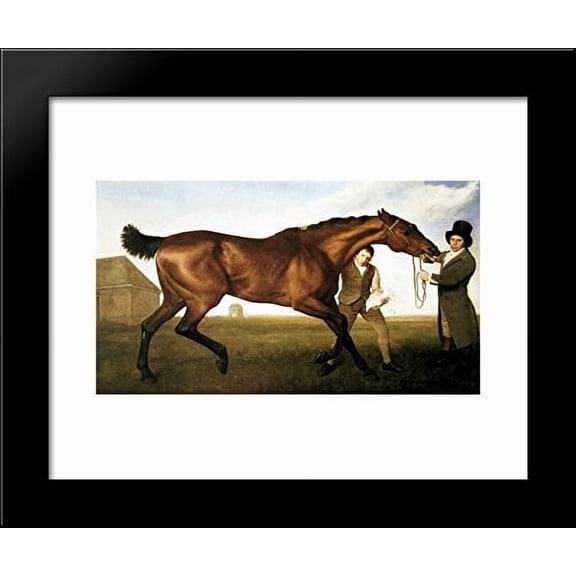 Hambletonian 20x24 Framed Art Print by George Stubbs