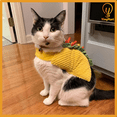 thumbnail image 1 of Hamburger Outfit For Cats & Dogs Funny Cute Scary Halloween Cosplay Hat Shirt YingMart Pet Costume (Yellow, XL), 1 of 9