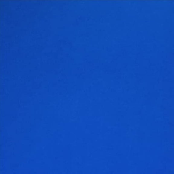Hamilco Colored Scrapbook Cardstock Paper 12x12 Card Stock Paper 65 lb Cover 25 Pack Cobalt Blue