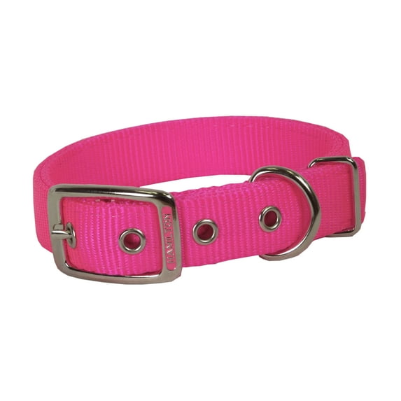 Hamilton 1" Double Thick Nylon Deluxe Dog Collar, 20" long, Hot Pink