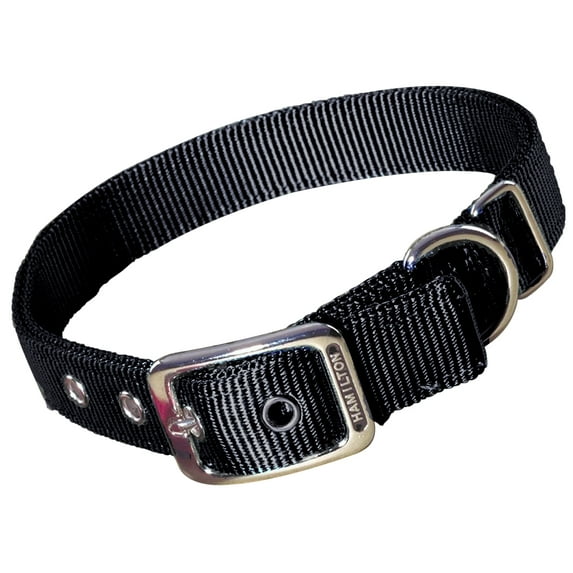 Hamilton 1" Double Thick Nylon Deluxe Dog Collar, 22" long, Dark Green