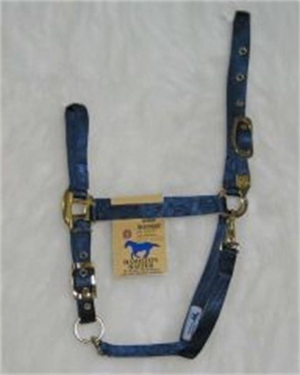 Hamilton 3/4Inch Nylon Arabian Horse Halter with Adjustable Chin and