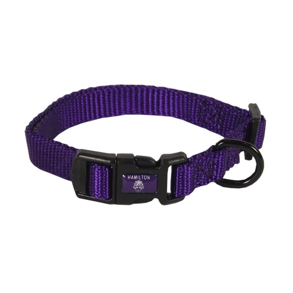Hamilton 3/8" Adjustable 7"-12" Dog Collar, Purple