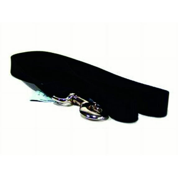 Hamilton 5/8-Inch Single Thick Nylon Lead with Swivel Snap , 4 feet, Black
