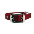 thumbnail image 1 of Hamilton 5/8" Single Thick Nylon Deluxe Dog Collar, 12 inch, Red, 1 of 3