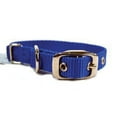 thumbnail image 1 of Hamilton 5/8" Single Thick Nylon Deluxe Dog Collar, 14 inch, Blue, 1 of 3