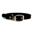 thumbnail image 1 of Hamilton 5/8" Single Thick Nylon Deluxe Dog Collar, 16 inch, Black, 1 of 3