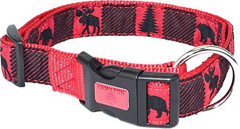 Hamilton adjustable 2024 dog collar