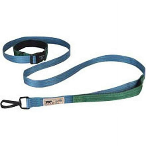 Hamilton GB SLO6 OCGN 1 in. x 6 ft. Go Boldly Get Out & Go Leash