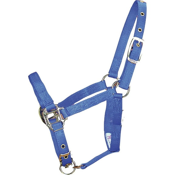 Hamilton Halter Company - Adjustable Chin Halter- Blue Foal - 3DA FLBL