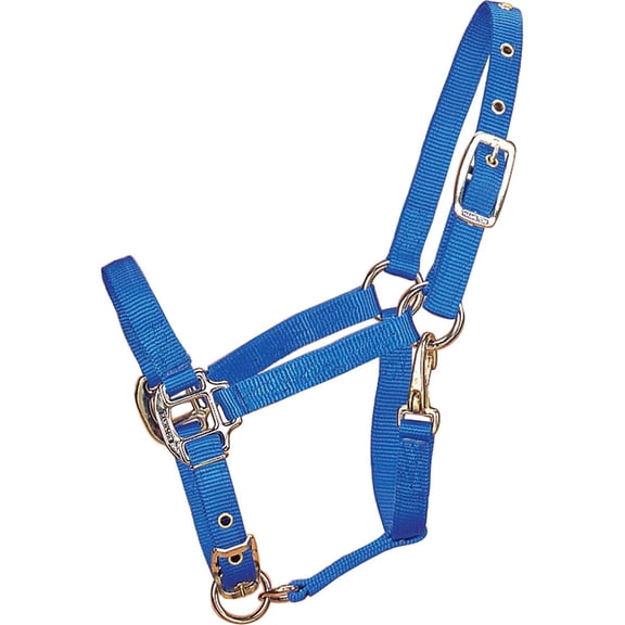Hamilton Halter Company - Adjustable Chin Halter With Snap- Blue Pony - 3DAS POBL