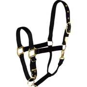 Hamilton Halter Company-Adjustable Chin Horse Halter With Snap- Black Average