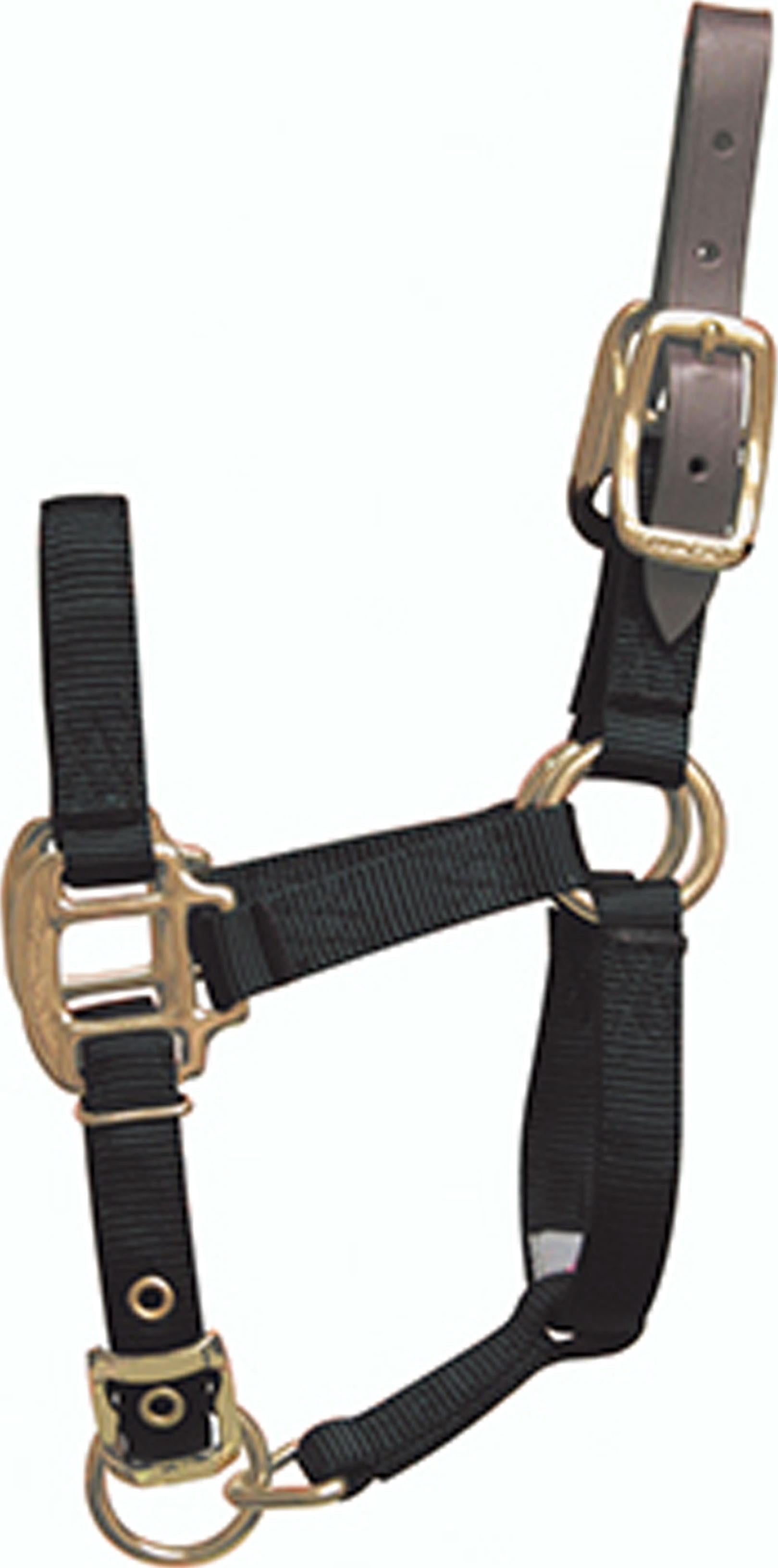 Halter Function Hamilton Halter Company - Adjustable Halter With Leather Headpole ...