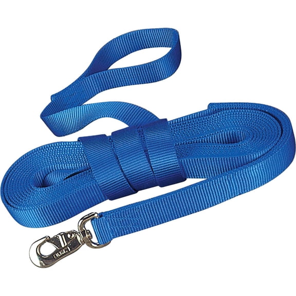 Single Thick Lunge Line With Swivel