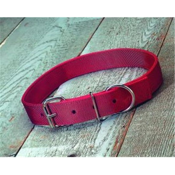 Hamilton Halter Company-Nylon Cow Collar- Red Heifer