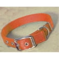 thumbnail image 1 of HAMILTON PET COMPANY DOUBLE THICK NYLON DOG COLLAR 1X20 IN MANGO, 1 of 3