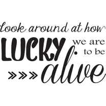 Hamilton Vinyl Wall Decal | Broadway Wall Decoration - 20"x12"