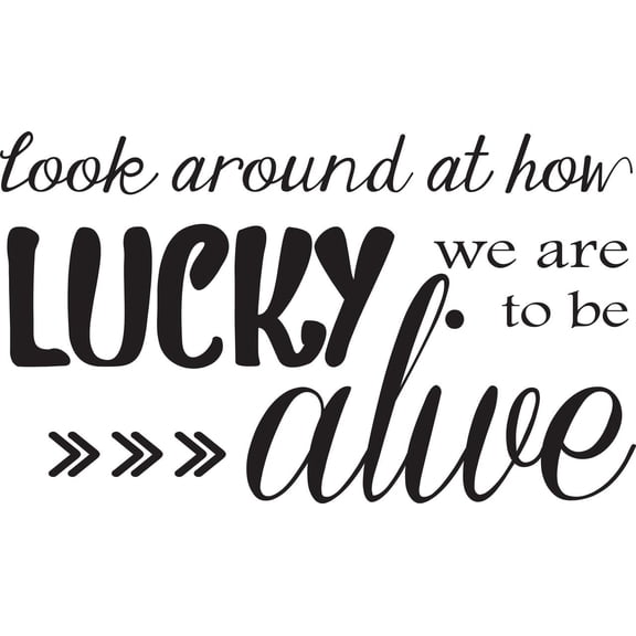 Hamilton Vinyl Wall Decal | Broadway Wall Decoration - 20"x12"