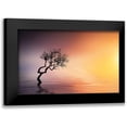 thumbnail image 1 of Hamiti, Bess 14x10 Black Modern Framed Museum Art Print Titled - Tree At Lake, 1 of 5