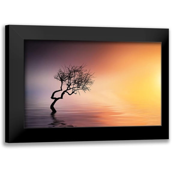 Hamiti, Bess 14x10 Black Modern Framed Museum Art Print Titled - Tree At Lake