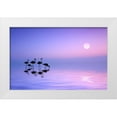 thumbnail image 1 of Hamiti, Bess 14x10 White Modern Wood Framed Museum Art Print Titled - Morning Flamingo, 1 of 4