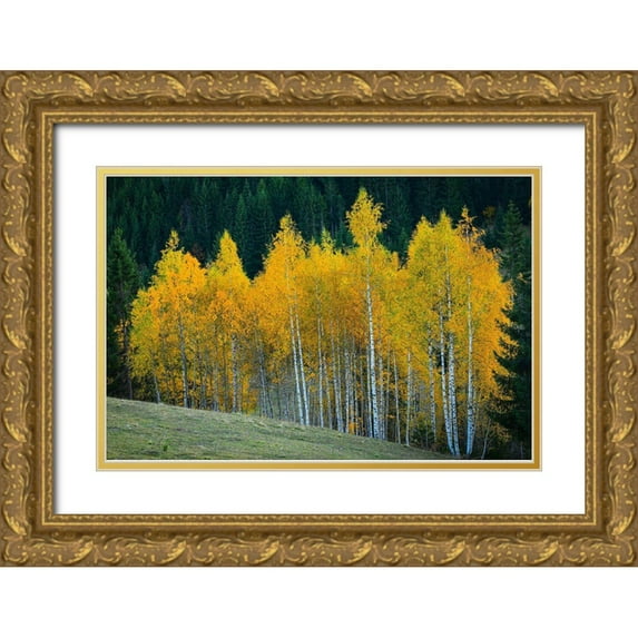 Hamiti, Bess 14x11 Gold Ornate Wood Framed with Double Matting Museum Art Print Titled - Autumn