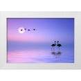 thumbnail image 1 of Hamiti, Bess 18x13 White Modern Wood Framed Museum Art Print Titled - Flying Flamingo, 1 of 4