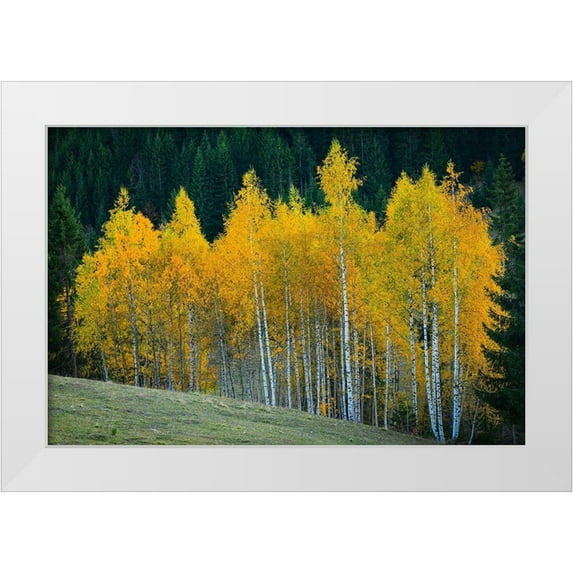 Hamiti, Bess 32x23 White Modern Wood Framed Museum Art Print Titled - Autumn