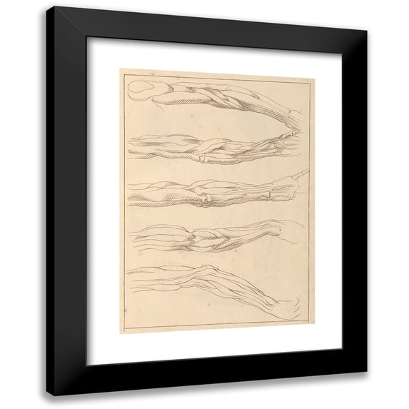 Hamlet Winstanley 11x14 Black Modern Framed Museum Art Print Titled - Anatomical Studies of Arms (1716)
