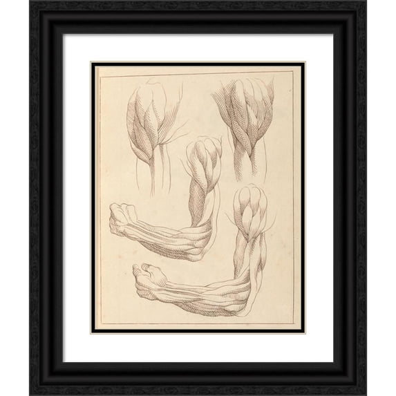 Hamlet Winstanley 15x18 Black Ornate Wood Framed Double Matted Museum Art Print Titled - Anatomical Studies of Arms (1716)