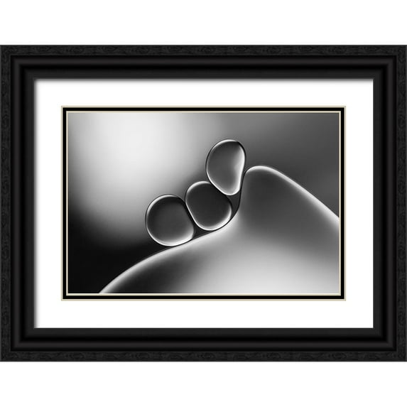 Hammer, Jacqueline 14x11 Black Ornate Wood Framed with Double Matting Museum Art Print Titled - Silvery Shapes
