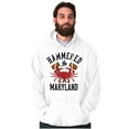thumbnail image 1 of Hammered in Maryland Funny MD Party Hoodie Sweatshirt Women Men Brisco Brands L, 1 of 6