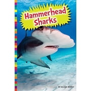 Hammerhead Sharks