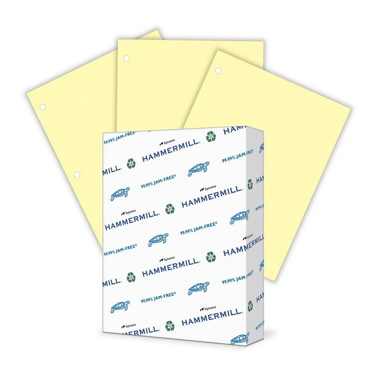 HAMMERMILL - PAPER, COPY, 28#, LETTER, COLOR, 3-HOLE PUNCHED (Case of 8  reams) - The Stationery Store & Authorized FedEx Ship Centre