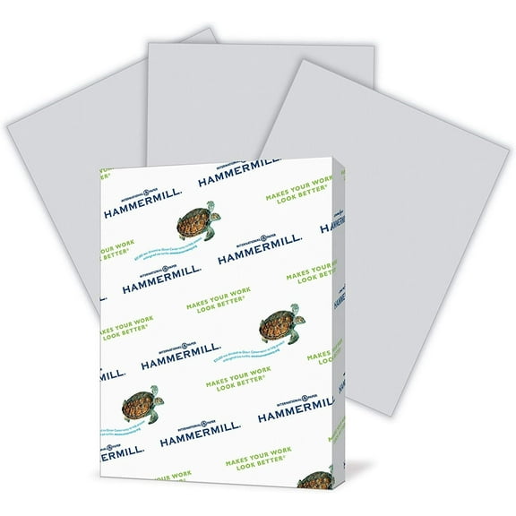 Hammermill Gray Colored Printer Paper, 20lb, Letter Size, 500 Sheets / 1 Ream, Pastel Paper - 4 Pack