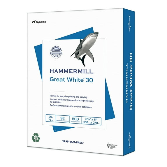Hammermill Great White Recycled 8.5" x 11" Copy Paper, 20 lbs., 92 Brightness